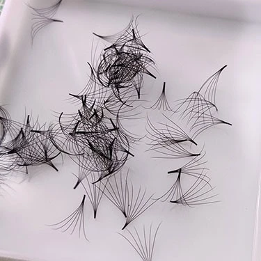 loose lash fans loose lash fans