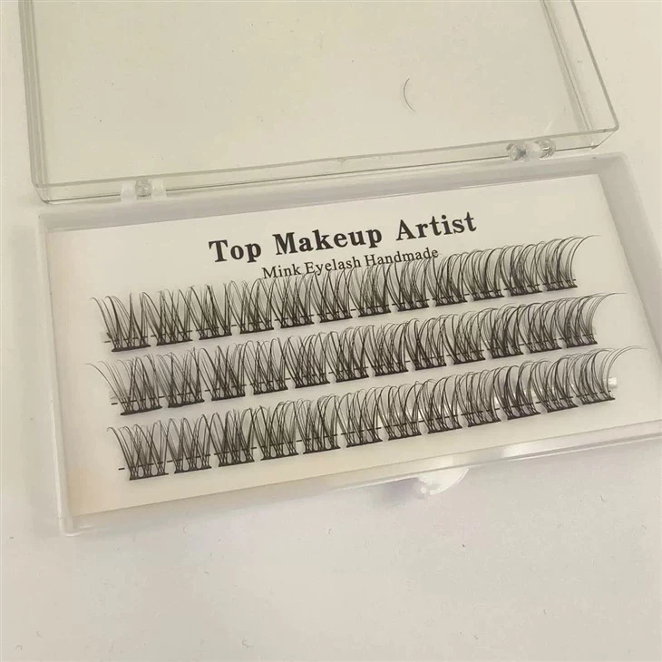 Художник Лаш